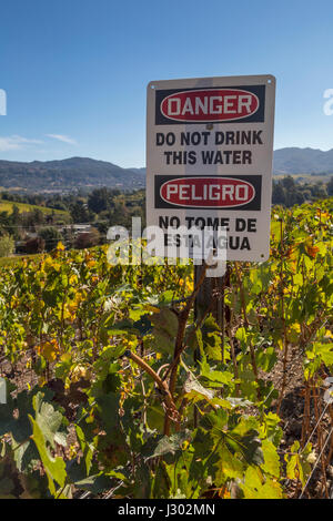 Panneau d'avertissement, danger, ne pas boire cette eau, peligro, aucun tome de esta agua, grape Vineyard, Napa, Napa Valley, Californie Banque D'Images