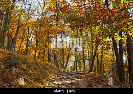 Sentier des Appalaches en automne en Virginie-Occidentale, États-Unis. sun ouvre la voie d'un éperon rocheux du terrain. Banque D'Images