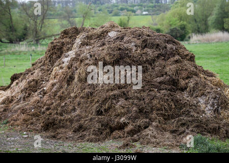 Un tas de fumier compost sur une ferme au Royaume-Uni Banque D'Images