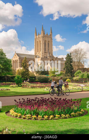 Abbey Gardens Bury St Edmunds, vue sur Abbey Gardens en direction de la cathédrale St Edmundsbury dans le centre-ville de Bury St Edmunds, Suffolk, Royaume-Uni. Banque D'Images