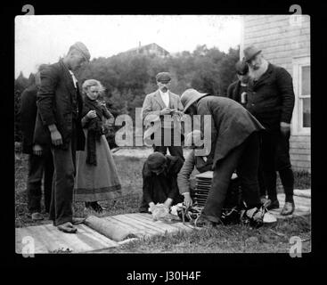 La famille d'Alexander Graham Bell Papers-Daisy essayant de réanimer noyé lamb Banque D'Images