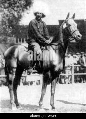 Portrait de l’étalon Akhal-Teke Mele Koush (1909â€“ ?), une peau d’or née au Turkménistan, connue pour sa conformation typey et son influence en tant que fondatrice de la ligne. Banque D'Images