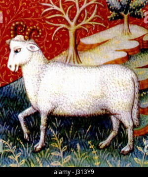 Le Bélier est le premier signe du zodiaque en astrologie, symbolisé par le bélier. Il est associé à des qualités telles que le leadership, le courage et un esprit pionnier. En astronomie, il fait référence à une constellation de l'hémisphère Nord. Banque D'Images