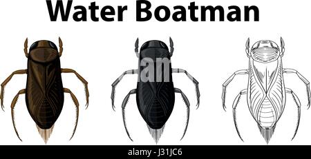 Caractère Doodle for water boatman illustration Illustration de Vecteur