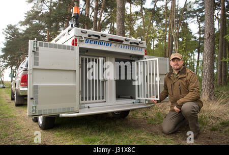 Wolf-carer Helge Stummeyer debout à côté de son chariot de transport pour les animaux blessés dans une forêt près de Vesbeck près de Neustadt am Ruebenberge, Allemagne, 20 avril 2017. Stummeyer gère une grande remorque de transport pour les animaux sauvages, qui a également été acheté pour la sécurité du transport aérien des loups. Photo : Julian Stratenschulte/dpa Banque D'Images