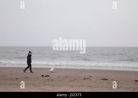 Edinburgh, Ecosse, Royaume-Uni. 2 mai, 2017. Les gens qui marchent sur les chiens rive sablonneuse de la plage de Portobello à Édimbourg, Écosse, Royaume-Uni. Météo : un formulaire de démarrage plutôt nuageux avec quelques plus légère bruine sur l'Est des collines, mais un peu de soleil sur Galloway, et éclaircies ailleurs par l'après-midi avec peut-être un cas isolé d'une douche. Au chaud dans l'ouest, près de la côte est du refroidisseur. Crédit : Gabriela Antosova/Alamy Live News Banque D'Images