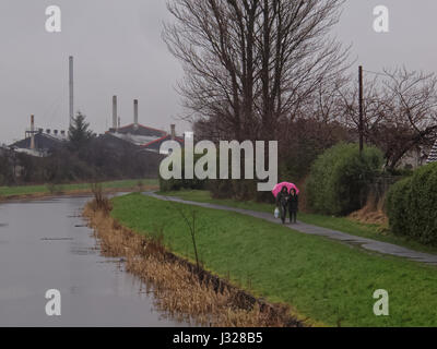 Couple de pluie avec un parapluie rose om le chemin de halage sur le Forth and Clyde Canal Banque D'Images