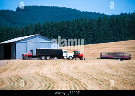 Plusieurs petits camions et autres équipements agricoles à proximité d'une grande grange sur un champ d'herbe coupée sur un fond d'arbres croissant sur Banque D'Images