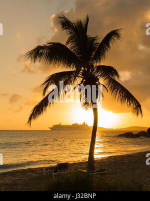 Palmier au coucher du soleil, la baie de Frenchmans, Saint Thomas, US Virgin Islands, Caribbean avec bateau de croisière sur l'horizon Banque D'Images