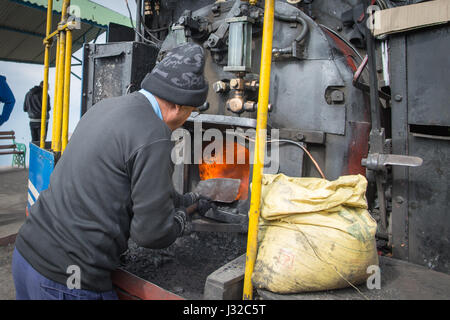 DARJEELING, INDE - 27 NOVEMBRE 2016 : le moteur à vapeur services technicien halé DHR Petit train utilisé pour joy ride tours ainsi que le transport régulier Banque D'Images