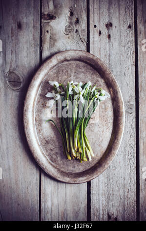 Bouquet de fleurs de printemps perce-neige sur un plateau vintage sur une vieille planche de bois Banque D'Images