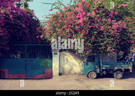 Grande maison avec fleurs de bougainvilliers en treillis de couleur pourpre sur mur de brique à Ho Chi Minh ville, Viet Nam le jour Banque D'Images