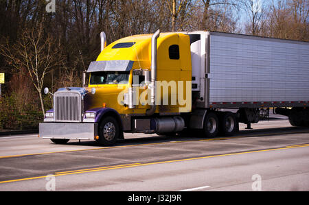 Camion avec remorque classique jaune, violet wings, chrome, chrome tuyaux bouclier et visière chrome sur la route avec voies jaune sur l'arrière-plan d'arbres Banque D'Images