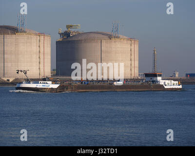 Isabella (navire, 2008), l'ENI 02330132, Port de Rotterdam Banque D'Images