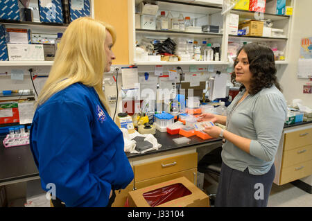 L'astronaute de la NASA Kate Rubins, gauche, parle d"Varienka Rodriguez DiBlasi, une 4e année au doctorat étudiant étranger médecine cellulaire et moléculaire, la droite, au cours de la visite du centre de l'épigénétique à la Johns Hopkins School of Medicine, le lundi 24 avril 2017 à Baltimore, Maryland Rubins a effectué deux sorties dans l'espace et est devenu la première personne de séquencer l'ADN dans l'espace au cours de ses 115 jours de mission dans le cadre d'Expedition 48 et 49. Banque D'Images