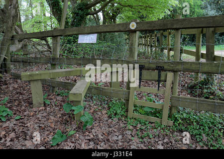 Un style typique et de chien trappe dans une clôture sur un sentier public dans un bois en Angleterre, Royaume-Uni. Banque D'Images