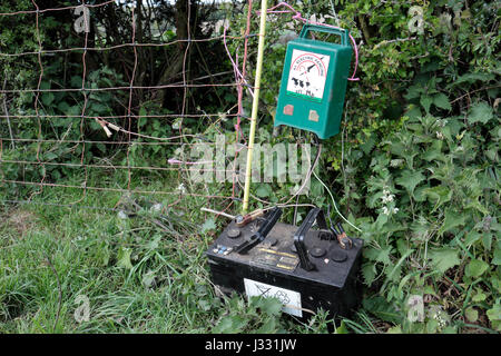 Une batterie de voiture et d'une clôture électrique dans un champ dans le Buckinghamshire, Royaume-Uni. Banque D'Images