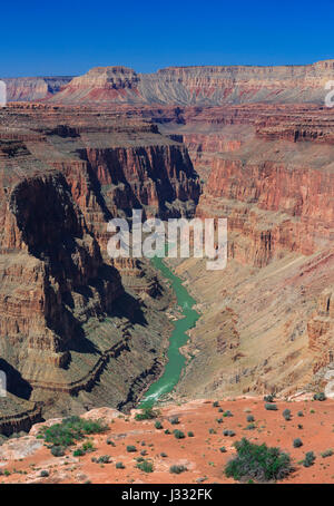 Dans le fleuve Colorado rapids en y domaine de grand canyon national park, arizona Banque D'Images