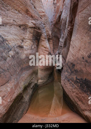 Trou dans l'eau dans le canyon zebra harris lavabo près de Escalante, Utah Banque D'Images