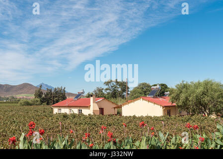 BONNIEVALE, AFRIQUE DU SUD - le 26 mars 2017 : l'ouvrier agricole maisons aux geysers solaires entre vignobles près de Bonnievale dans la province de Western Cape Banque D'Images