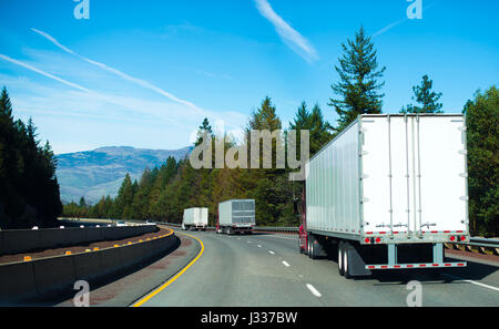 Camions semi colon blanc avec des bandes-annonces sur une route sinueuse d'importance nationale, entouré de conifères porte charges pour la consommation industrielle Banque D'Images