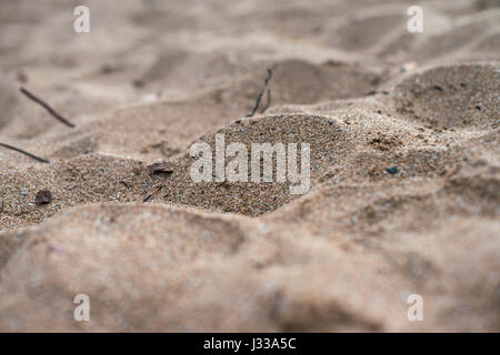 sable gros plan Banque D'Images