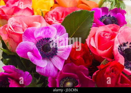 Fleurs sur fond de pierre d'anémones Banque D'Images