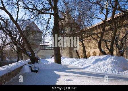 Taani Kuninga Aed, Toompea, avec la ville de Tours Kiek in de Kök (Peek dans la cuisine) et Neitsitorn (Maidens' Tower) au-delà : Tallinn, Estonie Banque D'Images