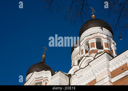 Aleksander Nevski Cathedral, Cathédrale de Toompea (Hill), Tallinn, Estonie : les dômes en oignon Banque D'Images