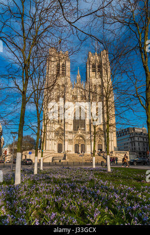 Cathédrale de St Michael et St Gudule, Bruxelles, Belgique Banque D'Images