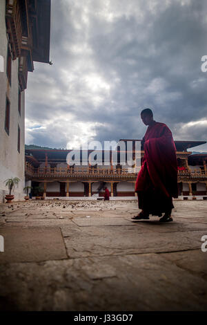 Le moine bouddhiste à l'intérieur de l'enceinte du monastère célèbre Punakaha Dzong du Bhoutan Banque D'Images