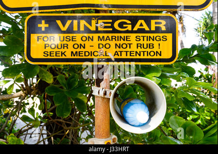 Les premiers secours bouteille de vinaigre pour traitement médicamenteux des Cuboméduse piqûres, Four Mile Beach, à Port Douglas, l'extrême nord du Queensland, Australie, Queensland, FNQ Banque D'Images