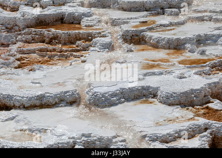 Terrasses d'agglomérés, des sources chaudes, des gisements minéraux, Palette Printemps, terrasses inférieures, Mammoth Hot Springs, Parc National de Yellowstone Banque D'Images