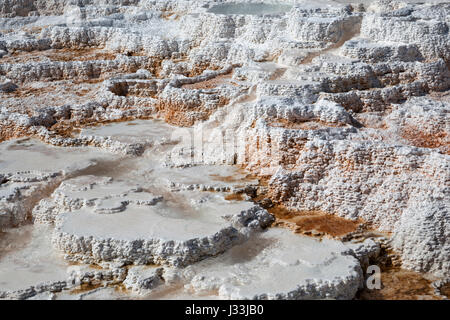 Terrasses d'agglomérés, des sources chaudes, des gisements minéraux, Palette Printemps, terrasses inférieures, Mammoth Hot Springs, Parc National de Yellowstone Banque D'Images