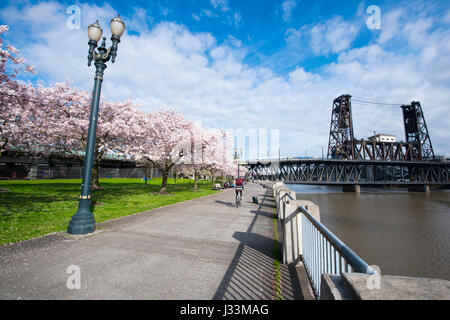 Relations sérieuses in Portland arbres en fleurs de printemps sur le front, lanternes classiques, cyclistes, ancien pont-levis et la lumière du soleil donnant la bonne humeur des résidents et des vis Banque D'Images