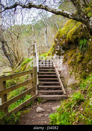 Foyers sentier Cascade Banque D'Images