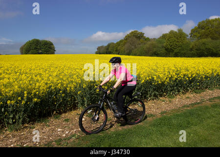 Vélo de montagne sur Bridleway par champ de colza Oakley Hampshire Angleterre Banque D'Images