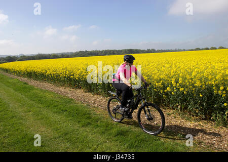 Vélo de montagne sur Bridleway par champ de colza Oakley Hampshire Angleterre Banque D'Images