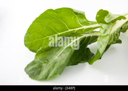 Bette (Beta vulgaris ssp. Vulgaris) isolés dans l'arrière-plan blanc Banque D'Images