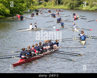 Les clubs d'aviron de célébrer le début de la saison d'aviron, tous les types de bateaux actifs, huit-man scull, aviron sur rivière Aller, Celle, Allemagne Banque D'Images