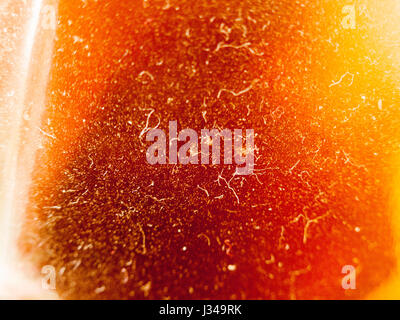 La texture d'une bière dans une bouteille par le côté close up avec beaucoup de poussière et poils Banque D'Images