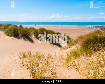 Dunes de sable de plage Croyde lors d'une journée ensoleillée avec un ciel bleu, Devon, England, UK Banque D'Images