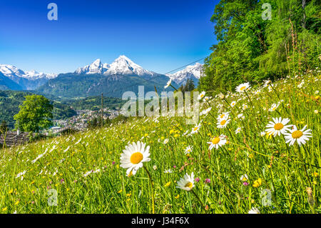 Vue panoramique du magnifique paysage des Alpes bavaroises avec célèbre montagne Watzmann en arrière-plan au printemps, Bavière, Allemagne Banque D'Images