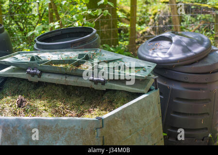 L'herbe tondue en compost dans un jardin, à l'effritement, Preston, Lancashire. Banque D'Images