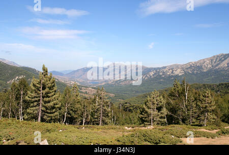 Le centre de la Corse. Très belle vue sur la vallée de la rivière Golo avec le barrage de Calacuccia au loin vu de l'Castelllu di Vergio. Banque D'Images