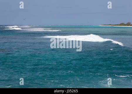 Surfez sur la barrière de corail entourant la côte de l'île et le lagon de l'atoll Midway dans le monument national marin de Papahanaumokuakea Banque D'Images