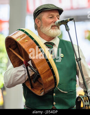Artiste de la musique traditionnelle irlandaise, bodhran joueur à St Patricks Day, Brisbane, Australie Banque D'Images