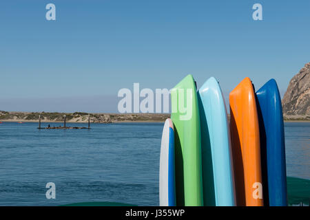 Les kayaks de loisirs sont rangés sur les quais de Boat Yard, Morro Bay, Californie, États-Unis Banque D'Images