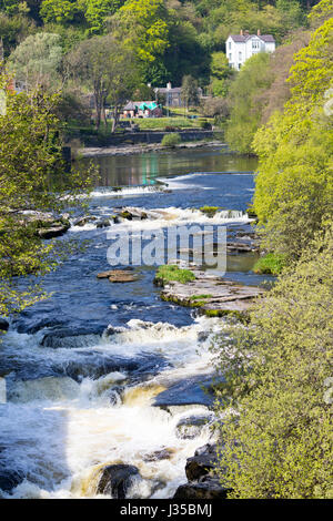 La rivière Dee en passant par une région d'une beauté naturelle à Llangollen dans le Nord du Pays de Galles dans la hauteur de l'été Banque D'Images