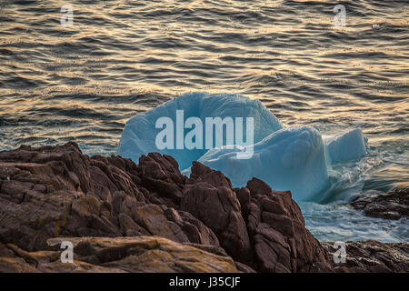 Terre-neuve, Canada. 2 mai, 2017. Soleil du matin sur les bergy bits de Logy Bay, près de St John's (Terre-Neuve) Credit : Gerry Whelan/Alamy Live News Banque D'Images